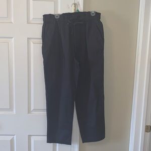 NWOT Loft Poplin Jogger Canvas Grey Pants (L)